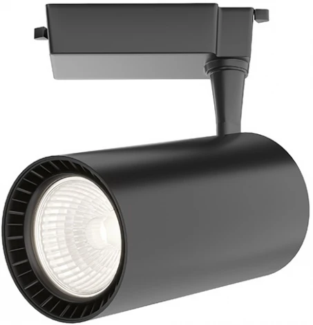 Трековый светильник Vuoro Unity 4000K 36Вт 36° LED (однофазный) Maytoni Technical TR003-1-36W4K-M-B (220V, круглые)