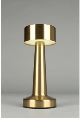 Настольная лампа светодиодная с выключателем Aployt Perrayn APL.671.04.01 (220V, круглые)