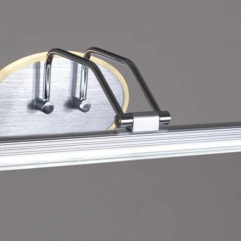 Подсветка для картин светодиодная с регулировкой цветовой температуры Reluce 08858-0.2-01S (220V)