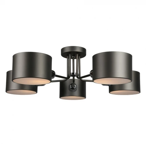 Потолочная люстра Omnilux Liser OML-54507-05 (220V)