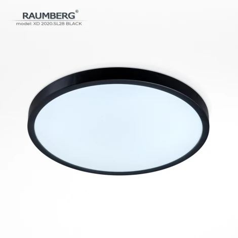 Потолочный светильник светодиодный Raumberg XD2020.SL28 Black