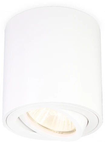 Точечный накладной светильник TECHNO SPOT TN22701 (220V)