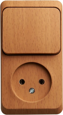Розетка накладная без заземления с одноклавишным выключателем (бук) Systeme Electric BPA16-204T