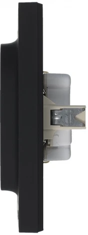 Розетка встраиваемая двойная с заземлением (карбон) Systeme Electric AtlasDesign ATN001024