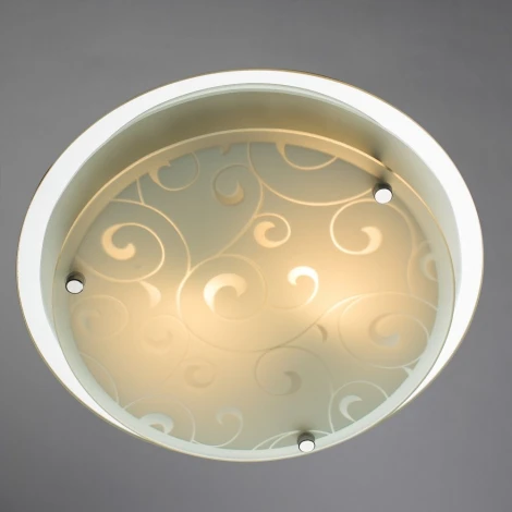 Потолочный светильник Arte Lamp Ariel A4806PL-2CC