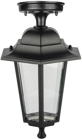 Потолочный светильник уличный Oasis Light PETERSBURG EM 79805EMA Bl (220V, фонарь, IP44)