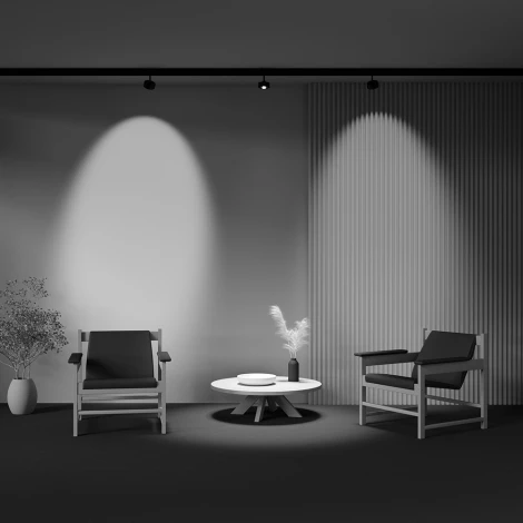 Трековый светильник магнитный 15W 48V Maytoni Lens TR217-2-15W3K-B