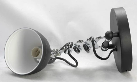 Бра на гибкой ножке Lussole Loft Koyukuk LSP-8049 (220V, IP21)