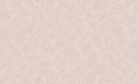 Обои виниловые Erismann Millennium 60052-11 10,05 x 1,06 м