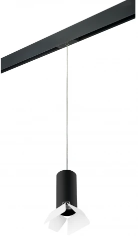 Трековый светильник однофазный 220V Lightstar Rullo PRORP487436