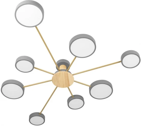 Потолочная люстра на штанге Loft It Sunrise 10316/8 Grey (LED, 220V, круглые)