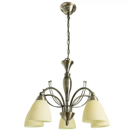 Подвесная люстра Arte Lamp Panna A8612LM-5AB