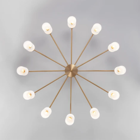 Потолочная люстра на штанге Eurosvet Vegga 70160/12