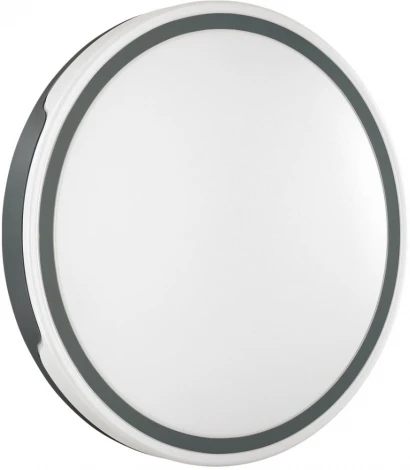 Настенно-потолочный светильник Sonex Avella 3051/DL