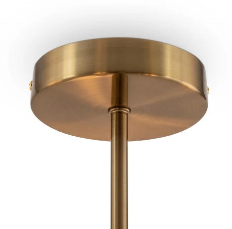 Потолочная люстра на штанге Freya Fiore FR5368CL-10BS (220V, круглые)