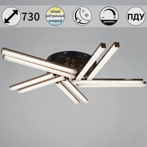Потолочная люстра светодиодная на штанге с пультом с регулировкой цветовой температуры, яркости и ночным режимом Reluce 17090-0.3-10 BK+FG