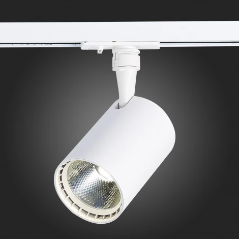 Трековый светильник ST Luce Cami ST351.536.20.36 (LED, 220V, круглые, IP22)
