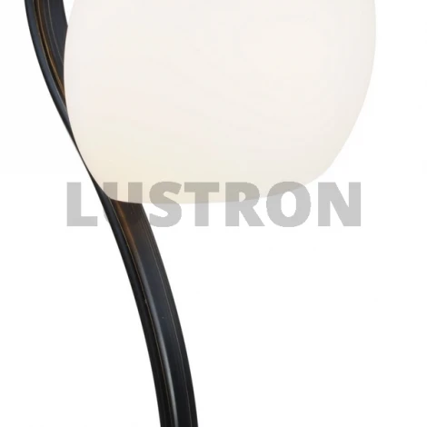 Интерьерная настольная лампа ST Luce SL196 SL196.704.01