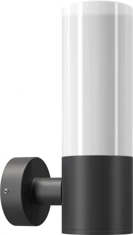 Настенный светильник уличный Maytoni Willis O418WL-01B (220V, IP54)