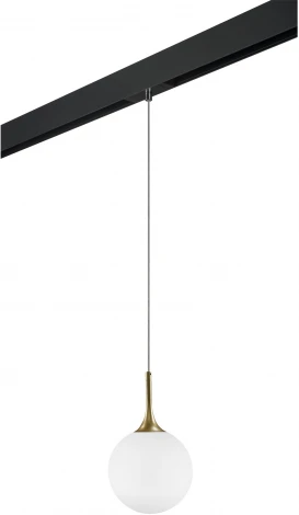 Трековый светильник однофазный 220V Lightstar Globo PRO813022 (шар)