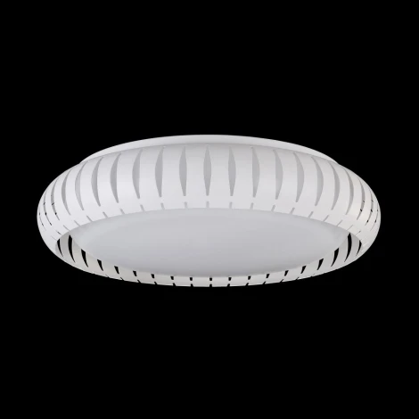 Потолочный светильник Freya Assanta FR6159-CL-24W-W