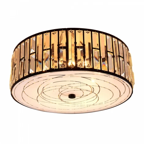 Потолочный светильник круглый Citilux Гермес CL331171 (220V)