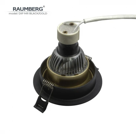 Встраиваемый светильник Raumberg DIP MR Black/Gold