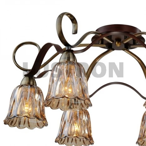 Потолочная люстра ST Luce SL324 SL324.302.06