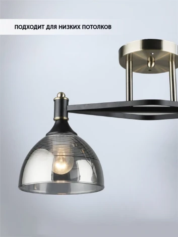 Потолочная люстра Wedo Light Giordzhi WD3620/2C-AB-BK-SMK