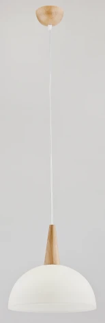 Подвесной светильник Alfa Anja 9648(80400)