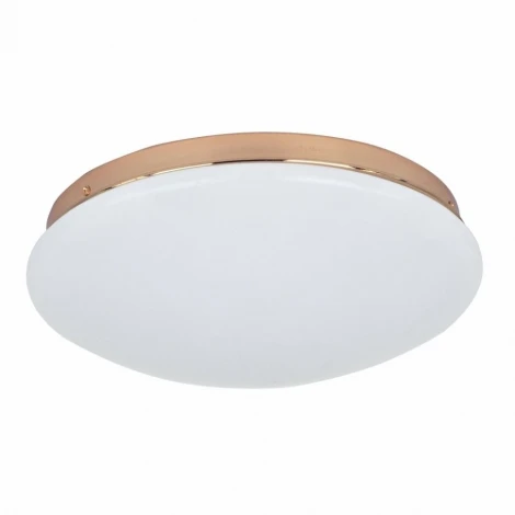 Потолочный светильник F-Promo Ledante 2465-2C