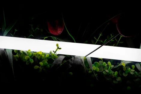 Гибкий неон SWG 360 SWG-2360-24-NW-66