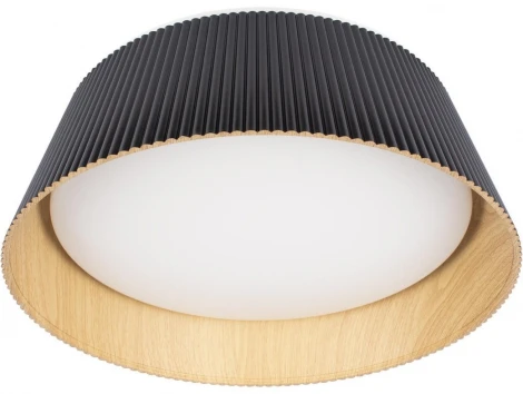 Потолочный светильник круглый светодиодный Loft It Evans 10224 Black (220V, круглые)