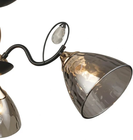 Потолочная люстра Wedo Light Montello 66669.01.69.03