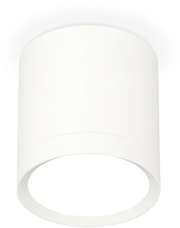 Накладной точечный светильник Ambrella Techno Spot XS8141001 (220V, круглые)