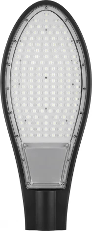 Уличный консольный светильник Feron SP2927 32219
