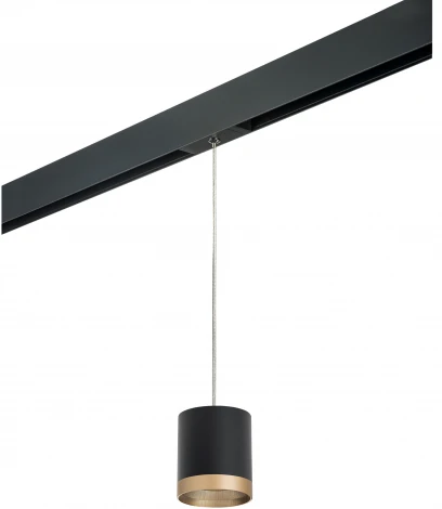 Трековый светильник однофазный 220V Lightstar Rullo PRORP348790 (круглые)