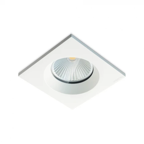 Встраиваемый светильник White RAUMBERG 6596Wh (LED, 220V, IP65)