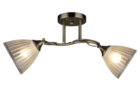 Потолочная люстра на штанге Мелодия Света SL1N 000027958