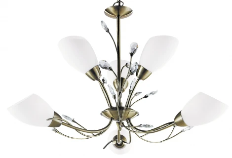 Подвесная люстра Arte Lamp Gardenia A2766LM-6AB