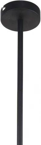 Потолочная люстра на штанге Chart 3092-8P F-Promo (220V)