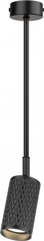 Спот на штанге ЭРА OL45 BK (220V)