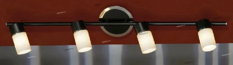 Настенно-потолочный светильник Lussole Siliqua LSQ-6109-04
