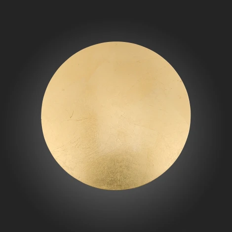 Настенный светильник ST Luce Aureo SL457.211.01 (LED, 220V, круглые)