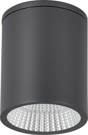 Потолочный уличный светильник ST-Luce Tubo SL9514.712.01 серый/белый LED 1*12W (220V, круглые, IP65)