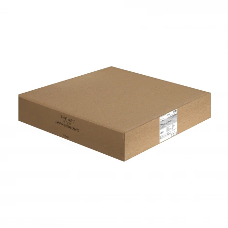 Потолочный светильник Freya Cosmic FR5457CL-L36B 36Вт LED