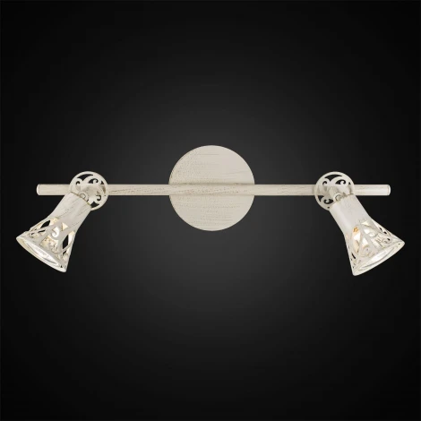 Спот на штанге Citilux Винон CL519525 (220V, круглые)