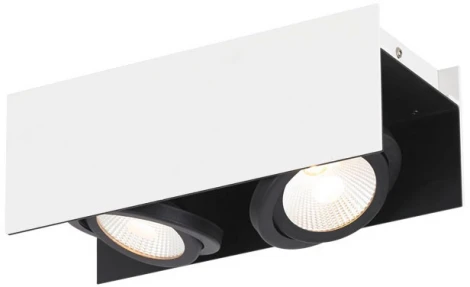 Спот светодиодный с пультом управления Eglo VIDAGO 39316