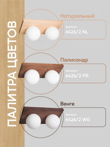 Потолочный светильник прямоугольный Мелодия Света SS1N 000036805