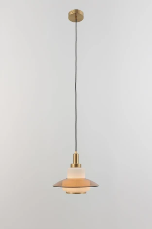 Подвесной светильник Rivoli Camille 4113-201 (220V, на проводе, круглые)